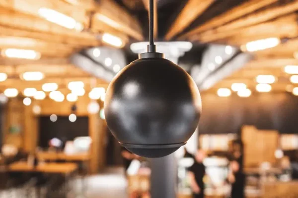 231230125739Untitled design 2