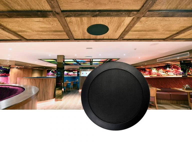 240106085924Ceiling Speakers 768x576 1