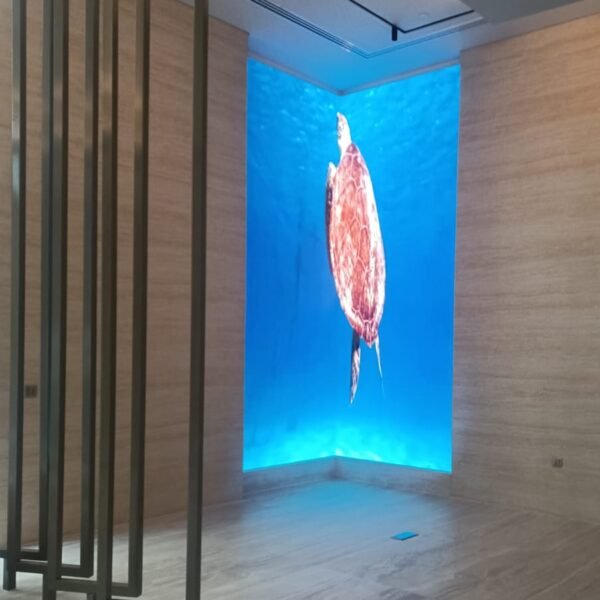 WhatsApp Image 2025 03 11 at 19.53.39 53ba5477