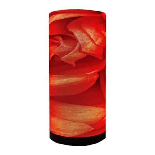 P6 Curved / Cylindrical LED Display